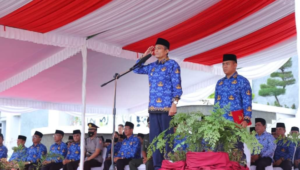 bupati