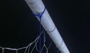 IMG-20231126-WA0043