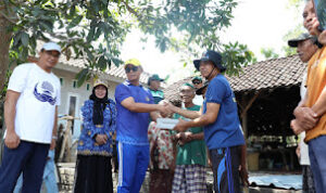 IMG-20241120-WA0062